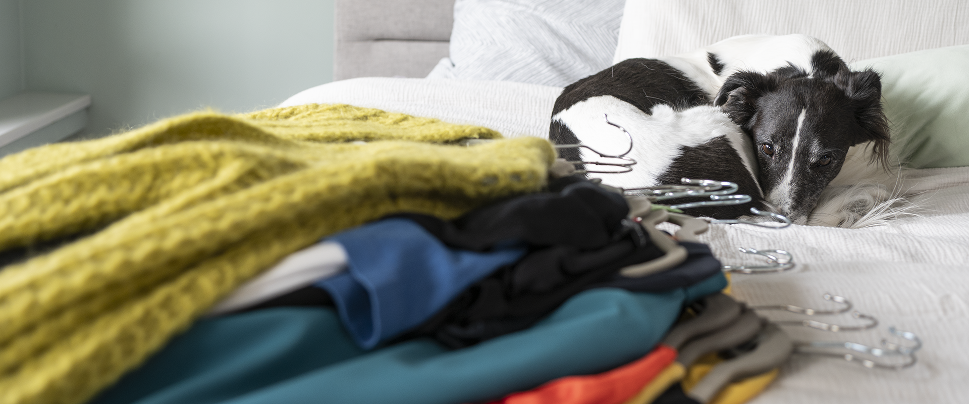 Ruhe bewahren beim Ausmisten